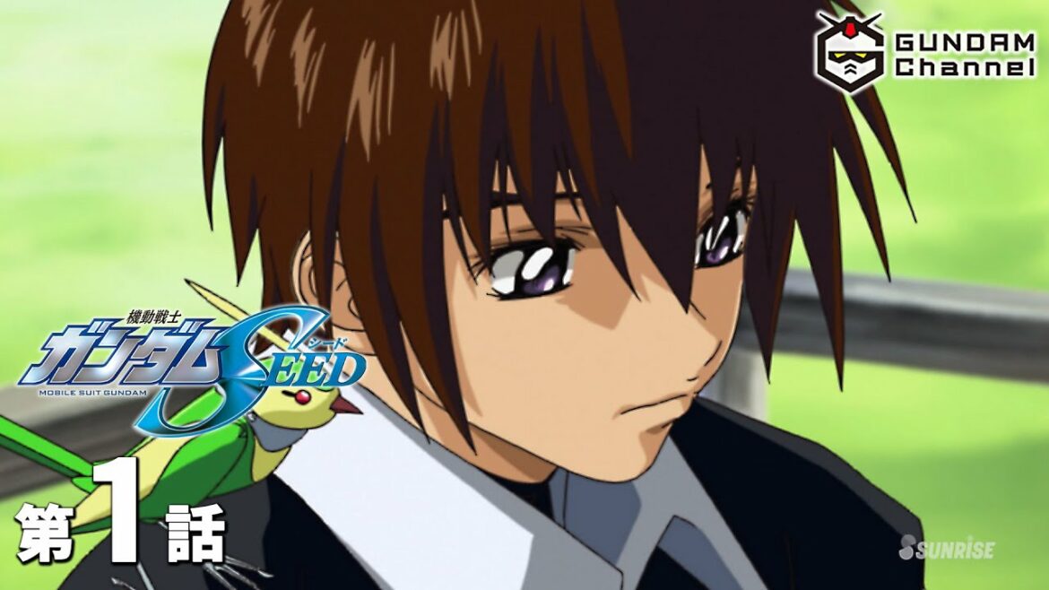 第1話|ガンダムSEED【ガンチャン】