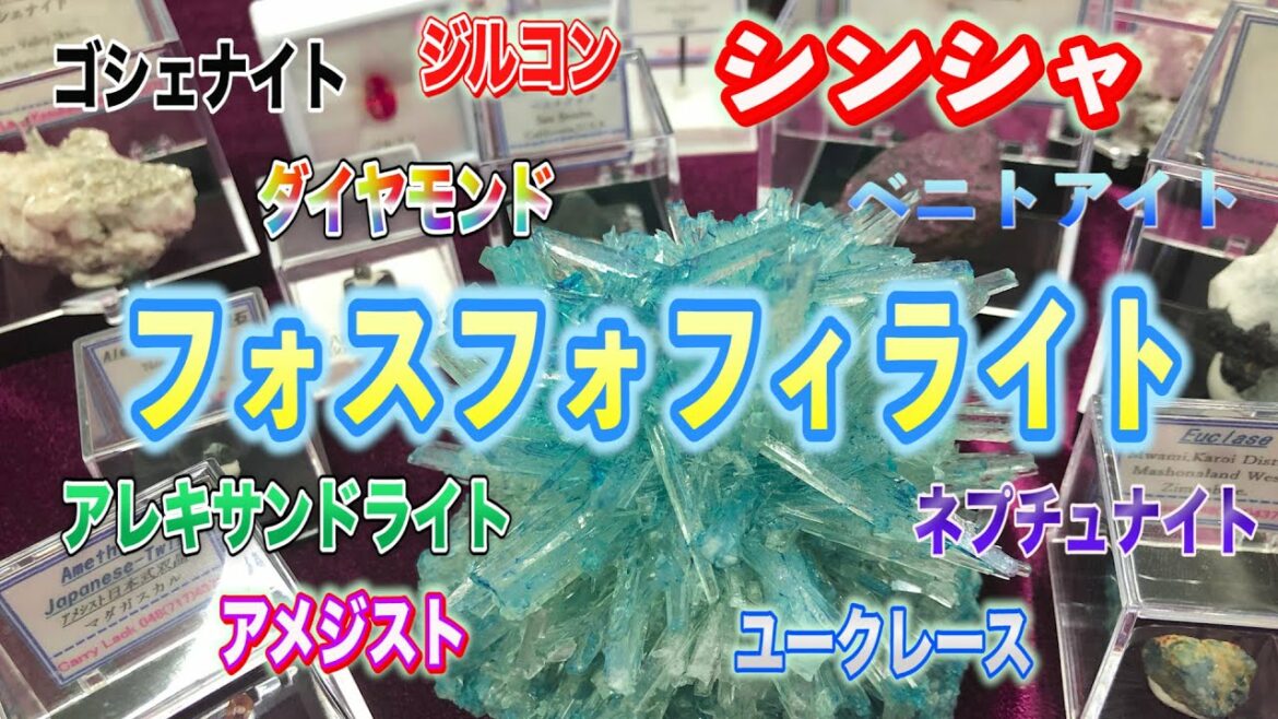 【宝石の国】の宝石全てプレゼント!