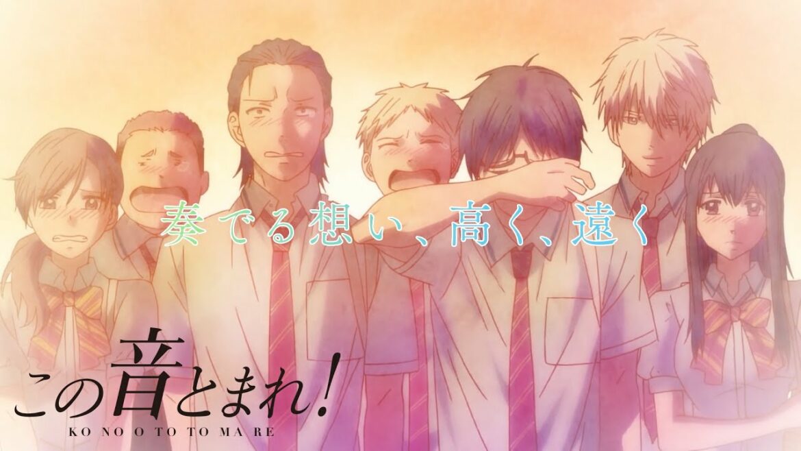 TVアニメ  第2クール PV | この音とまれ! | 放送開始 予告