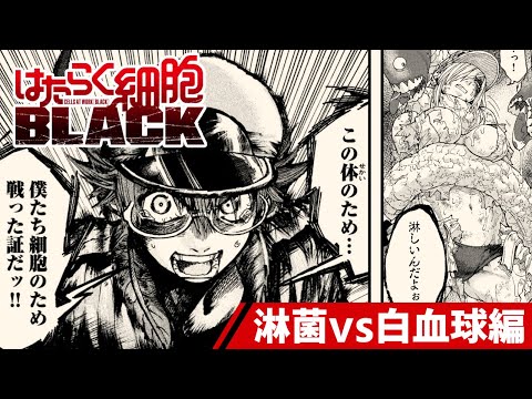 【漫画】淋菌vs白血球‼世界初の抗生物質「ペニシリン」とは…『はたらく細胞BLACK』 ㊗アニメ化!【公式】