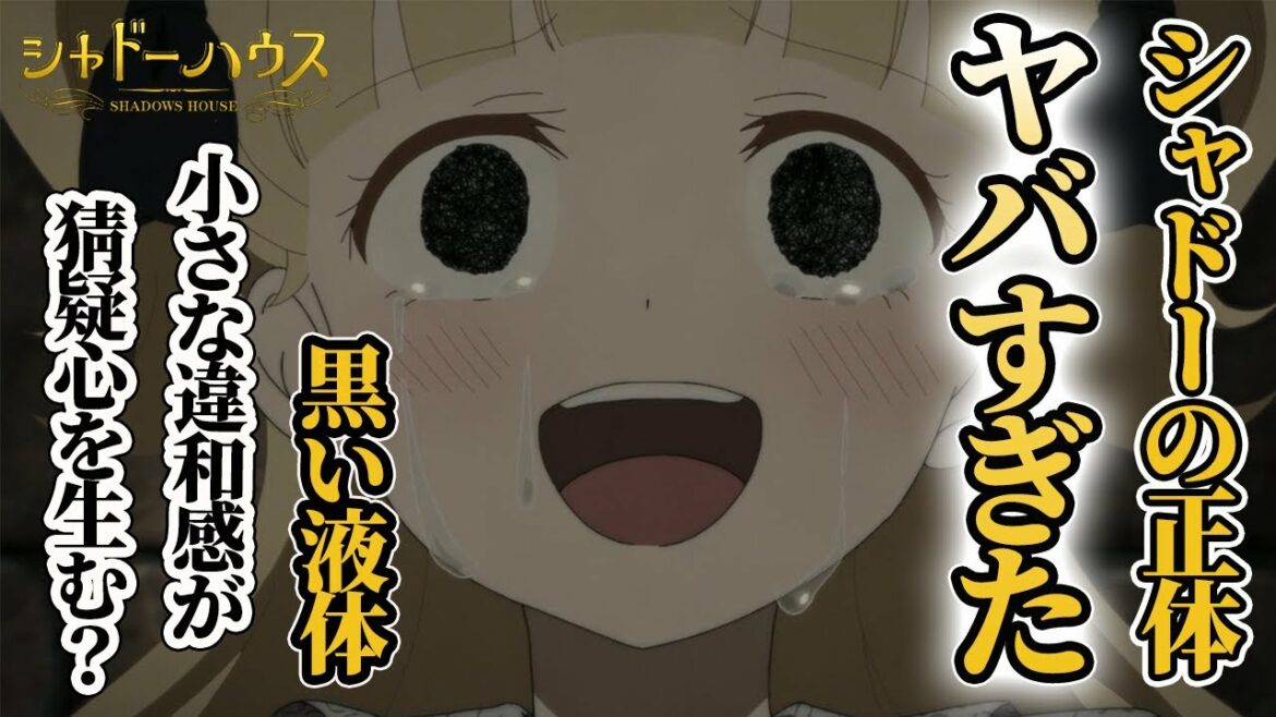 【シャドーハウス】アニメ10話の感想と考察!シャドーの正体が判明!ここから反乱分子は生まれるのか?