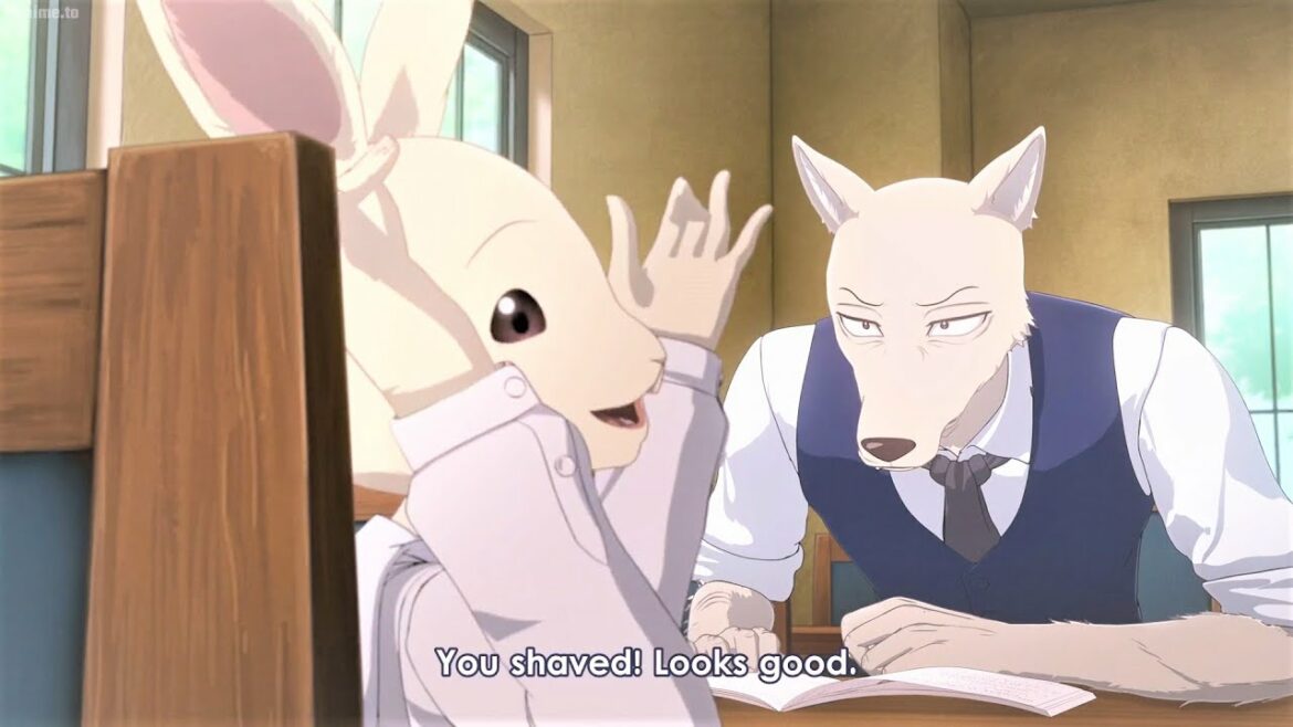 Beastars 2期 15 Haru Makes Legoshi Angry ハルはレゴシをからかう ビースターズ 21 Anime Wacoca Japan People Life Style Beastars 2期 15 Haru Makes Legoshi Angry ハルはレゴシをからかう ビースターズ 21 Anime Wacoca Japan People Life Style