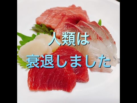 アニメ【人類は衰退しました】を観た感想と世間の狭さについて