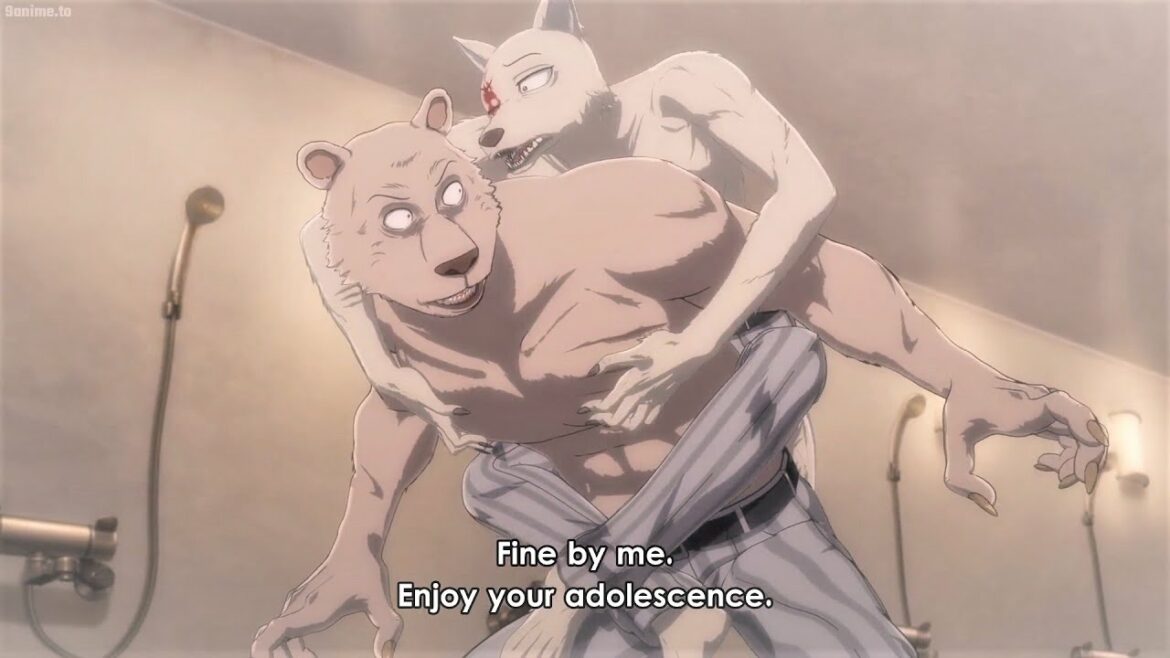 Beastars 2期 #142 レゴシの致命的な戦い !!  Legoshi's deadly battle  ~ ビースターズ 2期