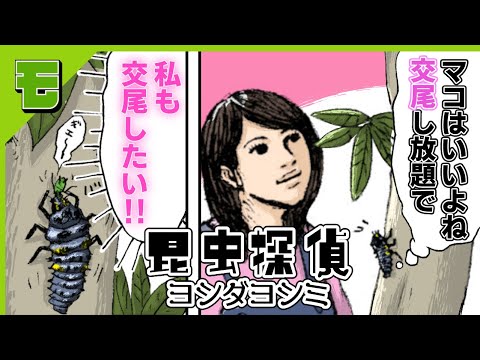 【漫画】人間のように恋(交尾)したいテントウムシの話「昆虫探偵ヨシダヨシミ」【ボイスコミック】【公式】
