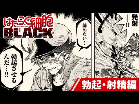 【漫画】💪勃起→射精💦するためにどれだけ赤血球たちが頑張っているのか『はたらく細胞BLACK』 ㊗アニメ化!【公式】