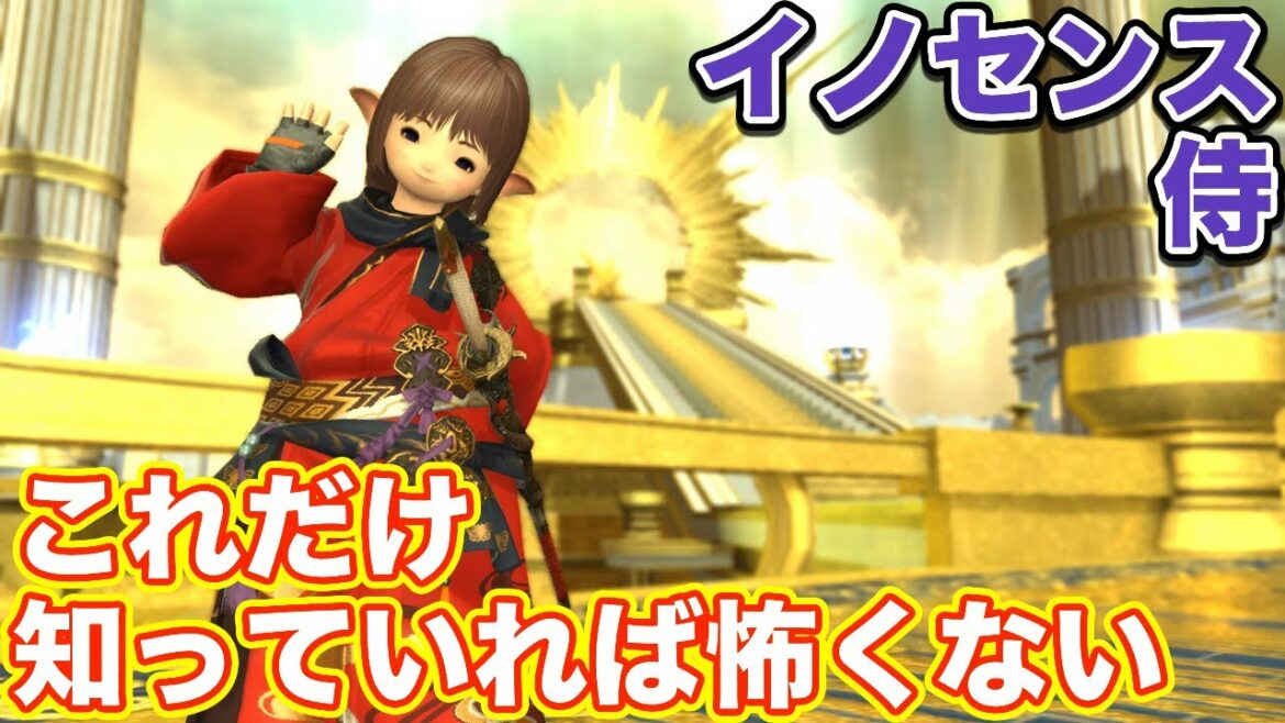 【FF14】イノセンスに侍(DPS)で挑戦【これだけ知っていれば怖くない パッチ5】