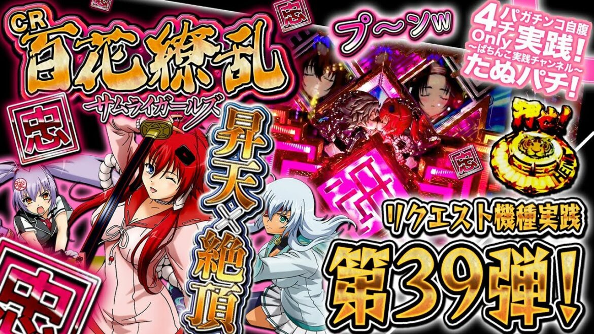 CR百花繚乱サムライガールズ 256ver. 続編が出るようなので、復習がてら打って参ります!パチンコ実践リクエスト機種第39弾!<平和>【たぬパチ!】