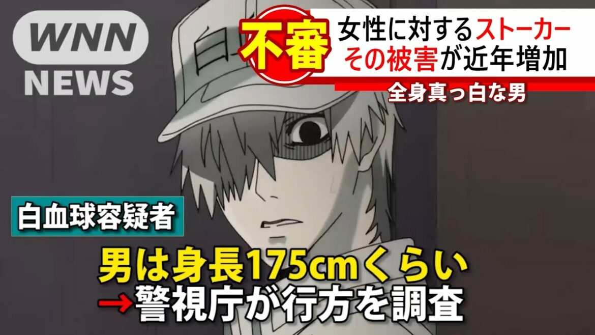 #2 【はたらく細胞】 白血球の行動がニュースで話題に!  Cells at Work Hataraku Saibou