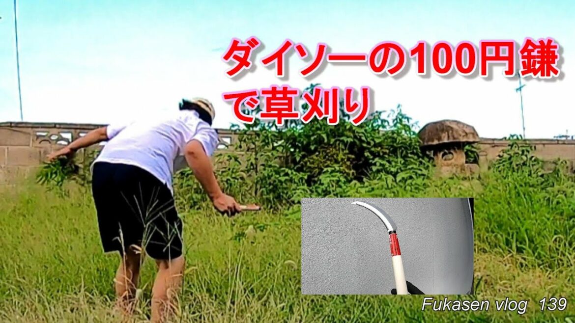 ダイソー鎌で草刈り、隠れ人生エピソード【フカセンvlog139】もう誰も居ない実家の古民家で猫と田舎一人暮らし。