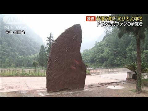 新種恐竜に「のび太」の学名 中国の研究者(2021年7月8日)
