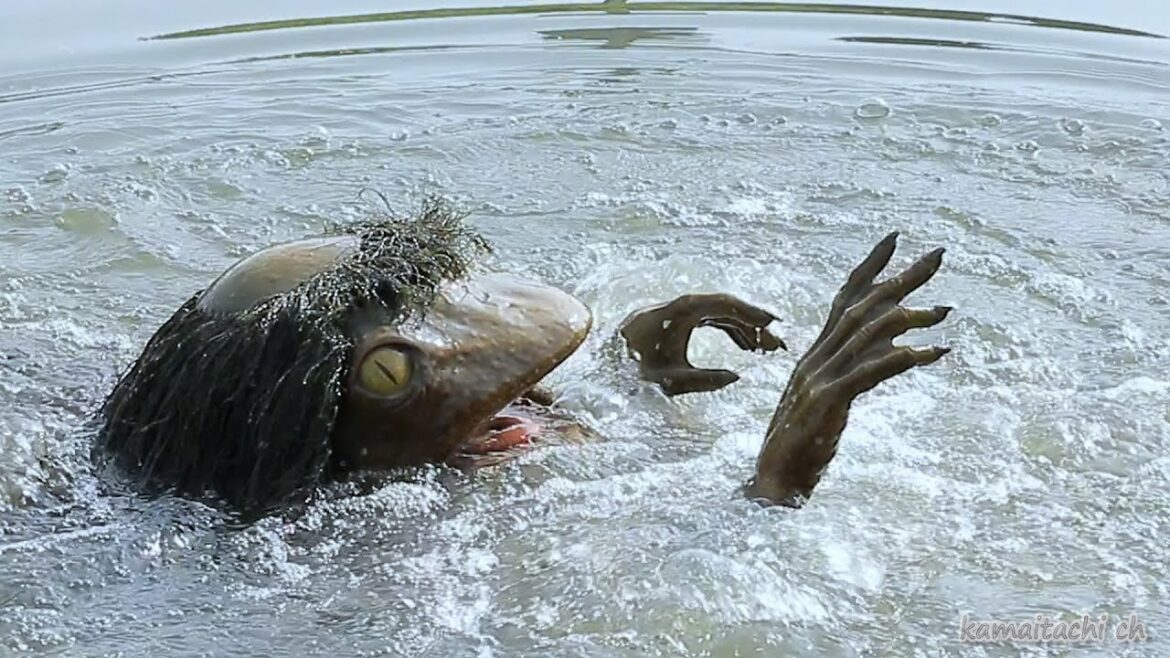 Specter of Japan, emerging from the kappa pond 兵庫県福崎町に住むカッパ