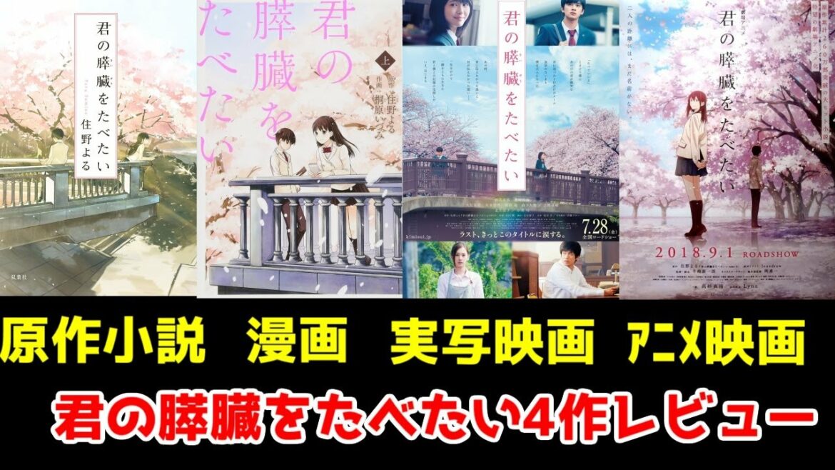 【ゆっくりなろう発レビュー】「君の膵臓をたべたい」原作小説・コミカライズ・アニメ映画・実写映画、4作を解説してみる【ゆっくりレビュー】