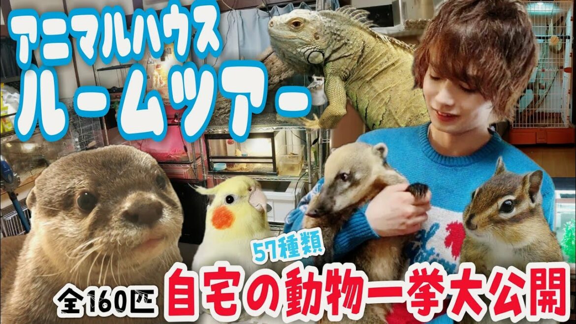 多頭飼いイケメンのルームツアー!自宅の動物(ペット)一挙大公開したら想像以上にスゴすぎた… Man's room tour
