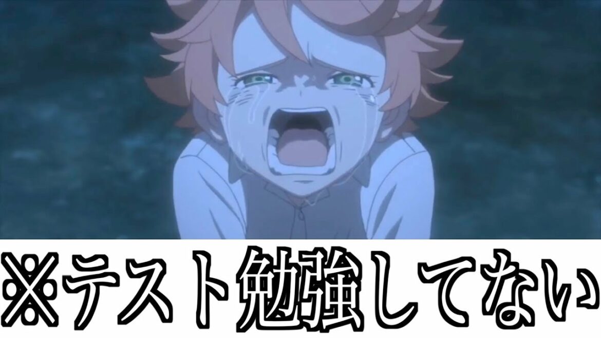 【神回】約束のネバーランドのボケてがツッコミどころ満載な件wwwww【ツッコミ】