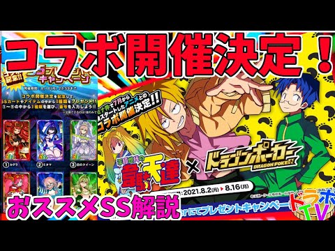 【ドラポTV】平穏世代の韋駄天達とコラボ開催決定!SSキャンペーンおススメカードご案内!