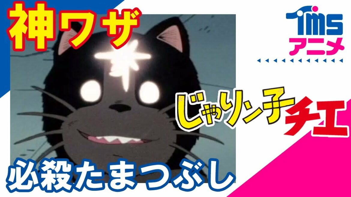 【公式】なにわ最強の🐱!!小鉄の神ワザ集『必殺たまつぶし』│じゃりン子チエ│猫の日