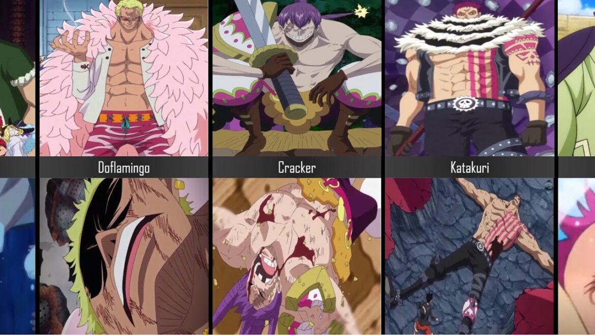 One Piece Characters Before & After Fighting Luffy!