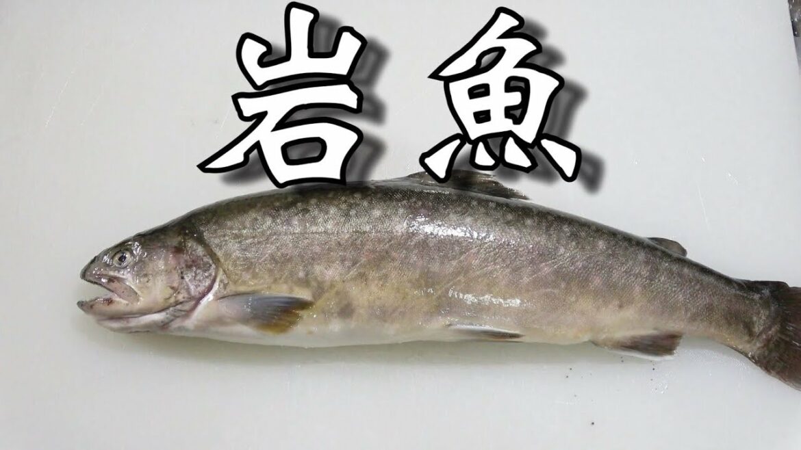 【完全再現】食戟のソーマ実写化!イワナのおかき揚げ作ってみた