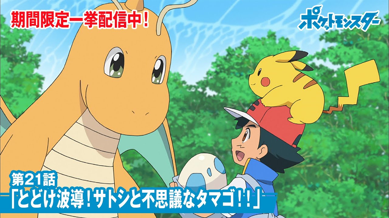 公式 アニメ ポケットモンスター 第21話 とどけ波導 サトシと不思議なタマゴ 夏休み期間限定配信 Anime Wacoca Japan People Life Style