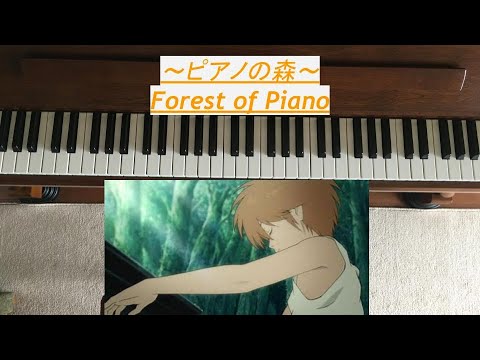 ピアノの森 一ノ瀬海によるあの曲 映画版 That Song By Kai Ichinose In The Perfect World Of Kai Anime Wacoca Japan People Life Style