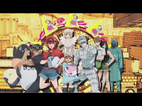 「 COVER 」「 Op Cells at Work Black 」Op Jojo Bizarre Adventure | はたらく細胞BLACK Op ジョジョ奇妙な冒険