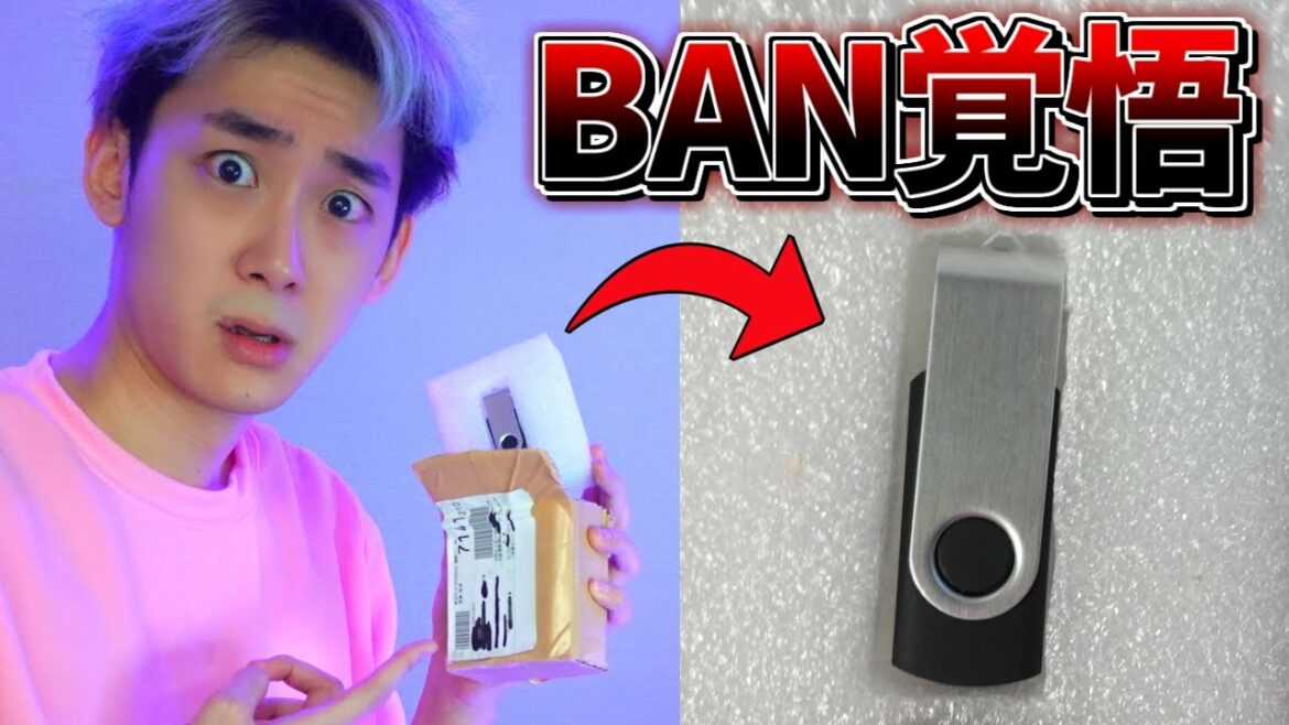 違法サイトで買ったチートを使ったらヤバすぎた…