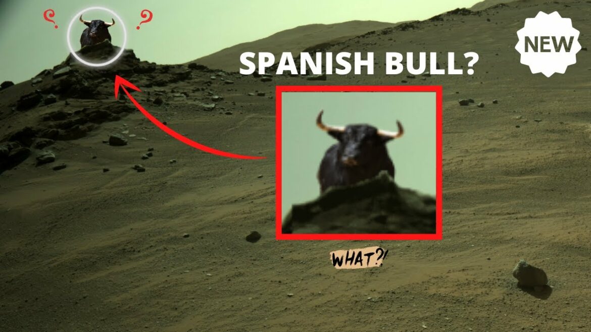 From red MARS 4K, Spanish bull???