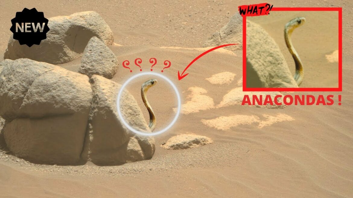 Here is red Mars 4k, Anacondas !!