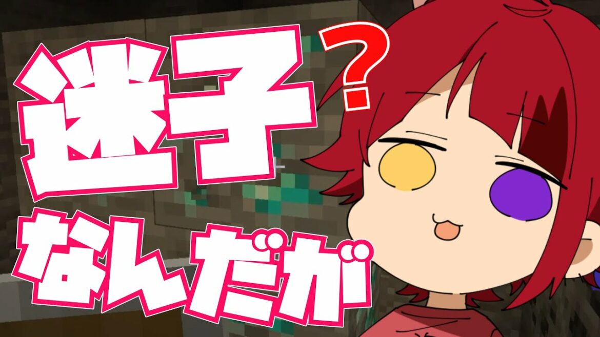 【マイクラ】3秒に1回迷子になる男【すとぷり】