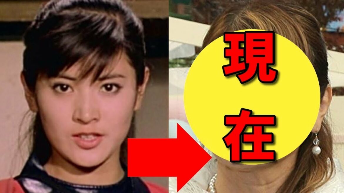 志穂美悦子、現在の姿が別人すぎる!