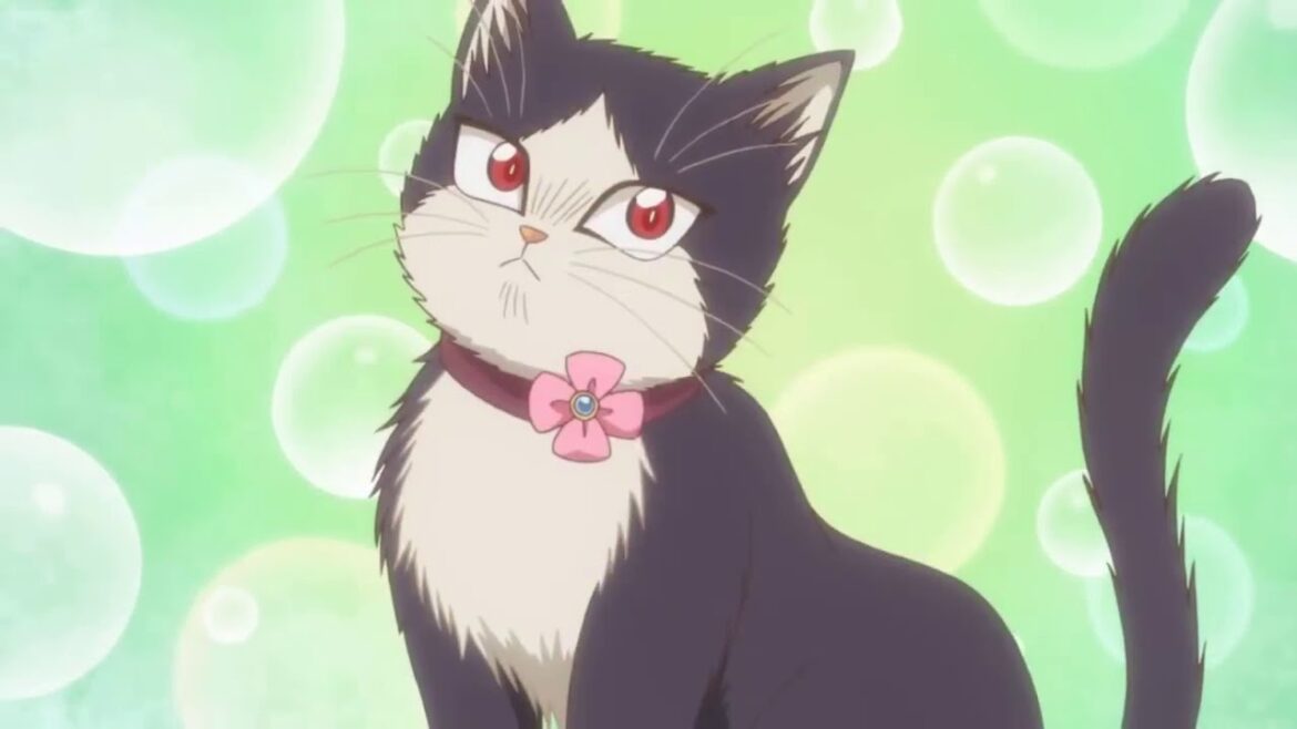 Haru | My roommate is a cat the best character | 同居人はひざ、時々、頭のうえ。