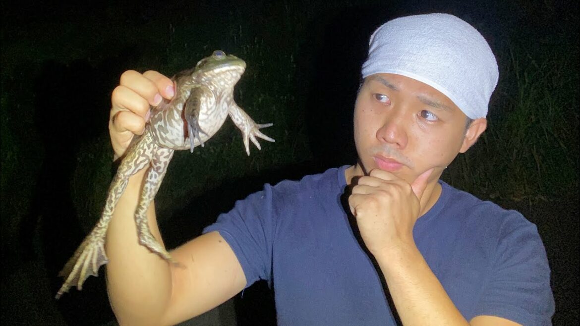 ウシガエル捕るの上手いのにモテない