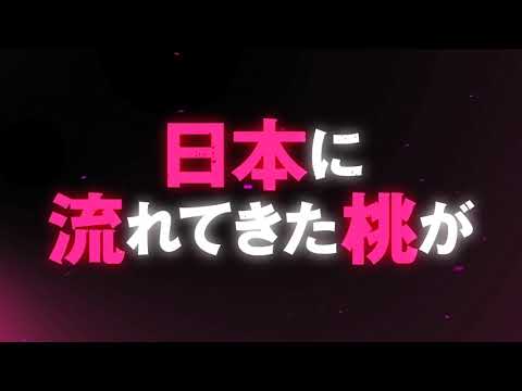 TVアニメ『ピーチボーイリバーサイド』ティザーPV | 2021年7月放送 || TV Anime "Peach Boy Riverside" Teaser PV | In July 2021