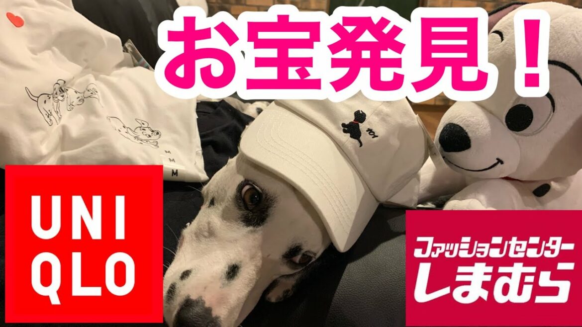 発売された101匹わんちゃんのグッズをダルメシアンと子どもが一生懸命紹介してくれます【UNIQLO、しまむらグループ】#ユニクロ#ダルメシアン#2歳児