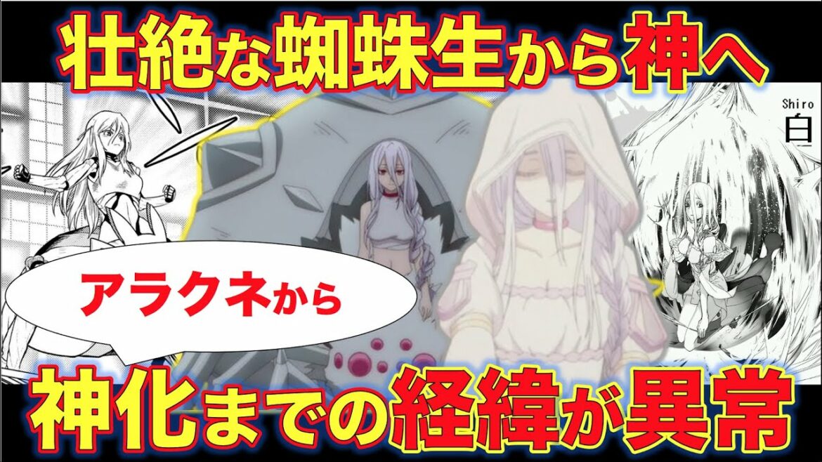 蜘蛛子さんアラクネから神化までの経緯が凄すぎる!【蜘蛛ですが、なにか?】