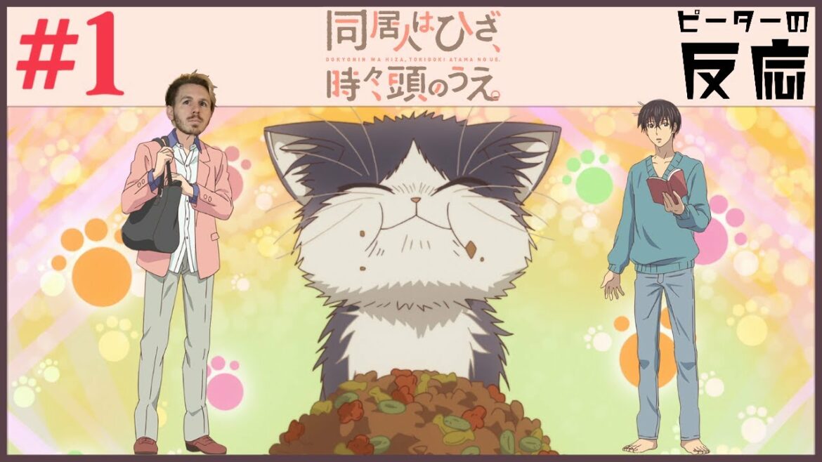 ピーターの反応 【同居人はひざ、時々、頭の上】 1話 My roommate is a cat ep 1 アニメリアクション