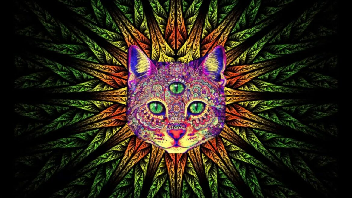 Best Rave/Party Songs Mix #1: PSY TRANCE, MINIMAL, GOA TRANCE, HEAVY BASS (song list in description)