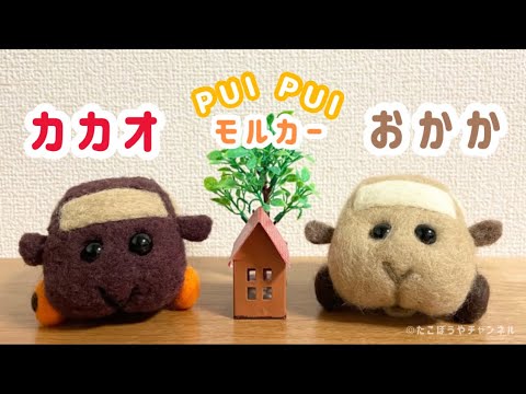 【モルカー】家が隣同士のカカオとおかか【pui pui molcar】作業音@たこぼうやチャンネル