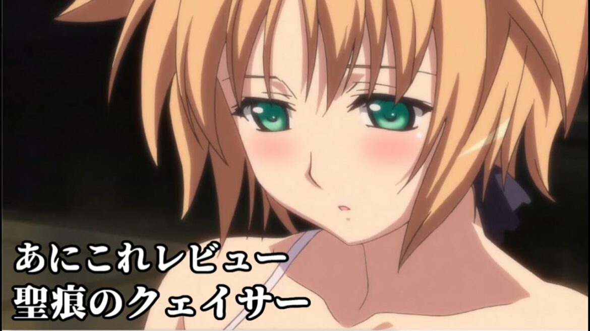 聖痕のクェイサー【2597位】