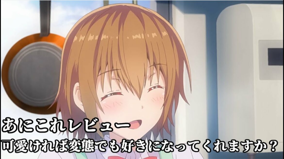 可愛ければ変態でも好きになってくれますか?【925位】