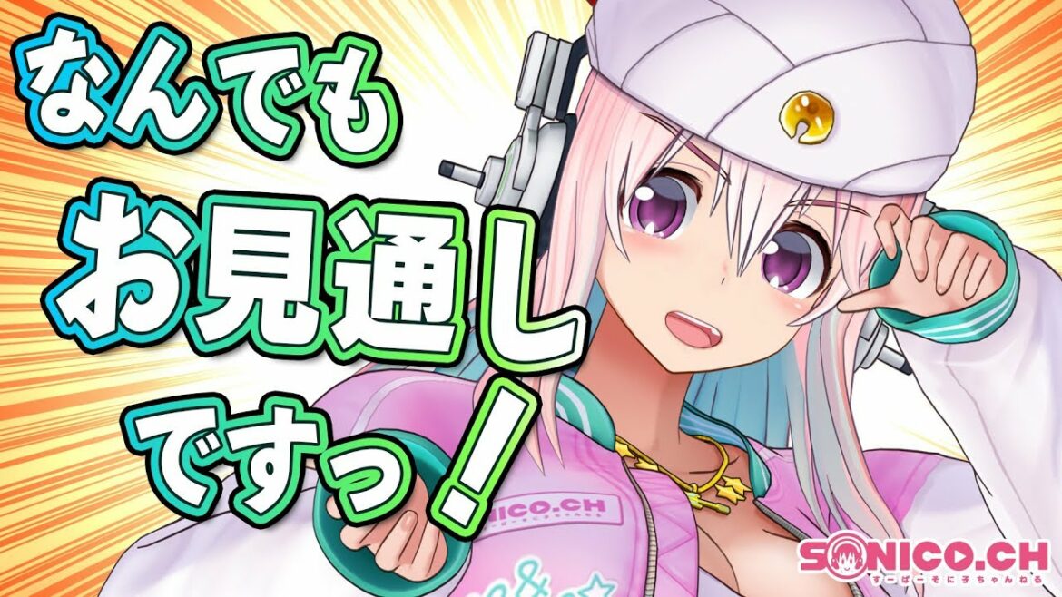 【挑戦】アキネイターそに子になりきりますよ〜!【すーぱーそに子】