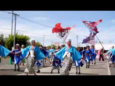 「ハナヤマタ~花ハ踊レヤいろはにほ」 ピオニウォークよさこい 東松山 第2部 4月28日(日)2019