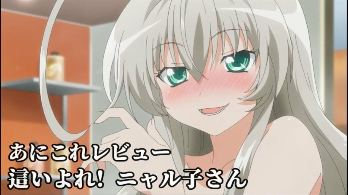 這いよれ! ニャル子さん【265位】