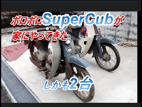 ボロボロスーパーカブが家にやってきた!しかも2台    I want to repair two Honda