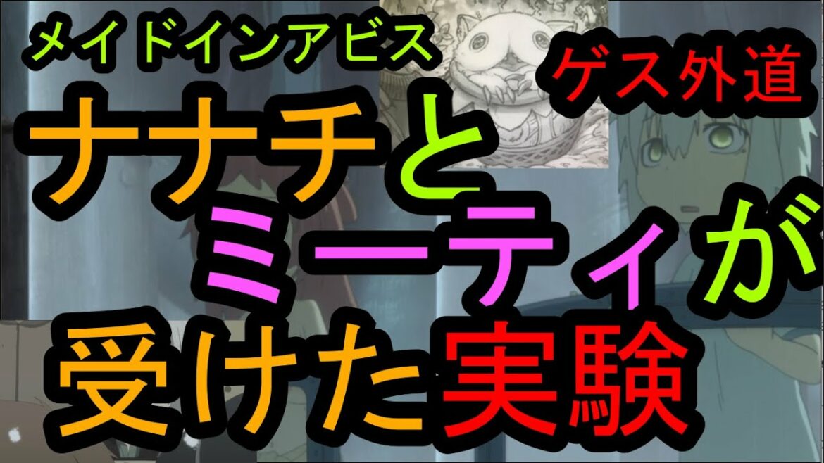 【メイドインアビス】ナナチとミーティが受けた実験をまさかの紹介する男【深き魂の黎明】