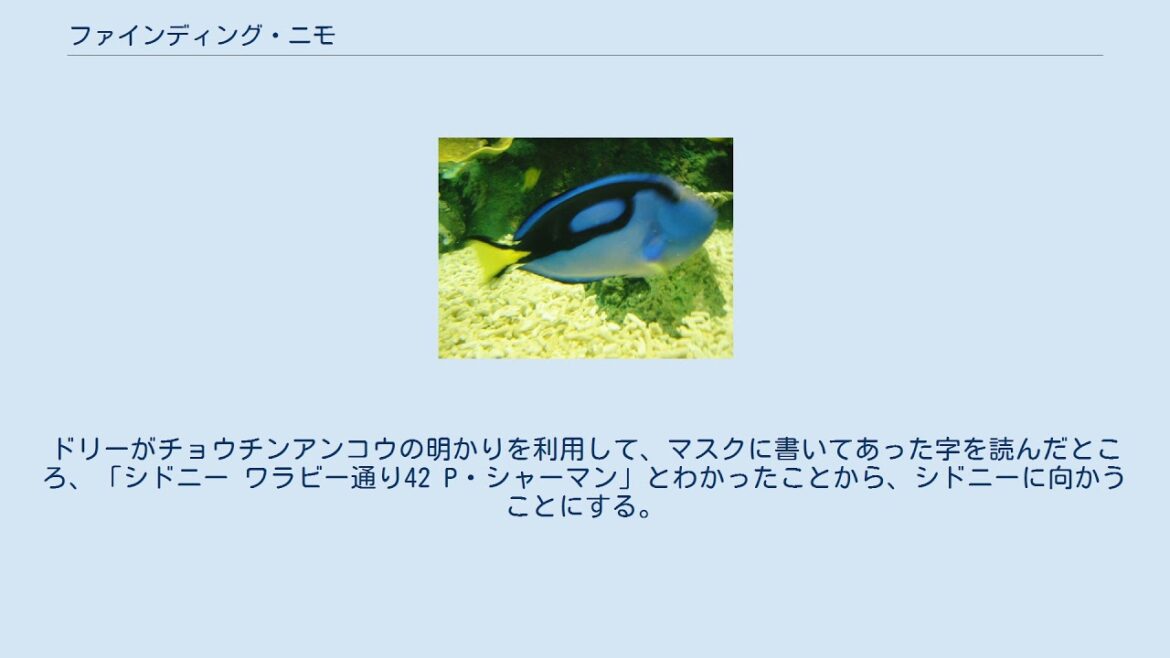 ファインディング・ニモ