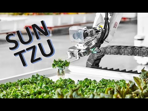 Are Chinese Food Shortages related to Jack Ma in Netherlands Agriculture Facilities ?