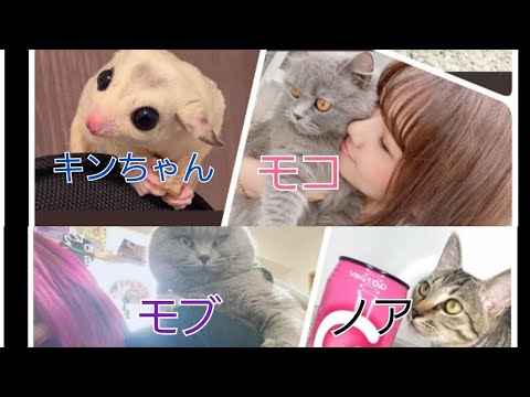 【フォーエイト】メンバーの飼ってるかわいいペット集
