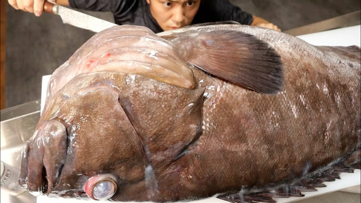 深海300mから上がった怪魚を捌いてみた